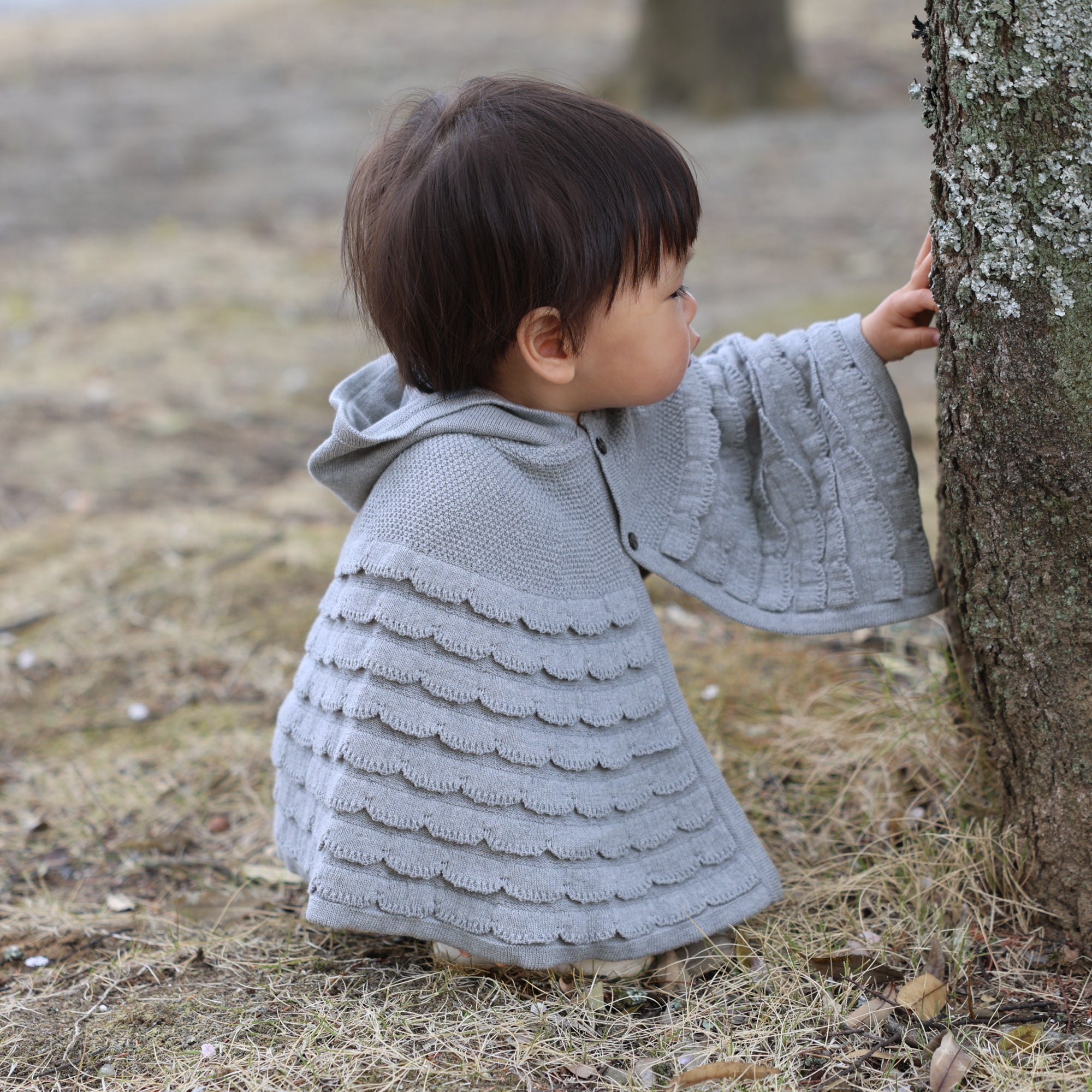 シェルマント(紺青)