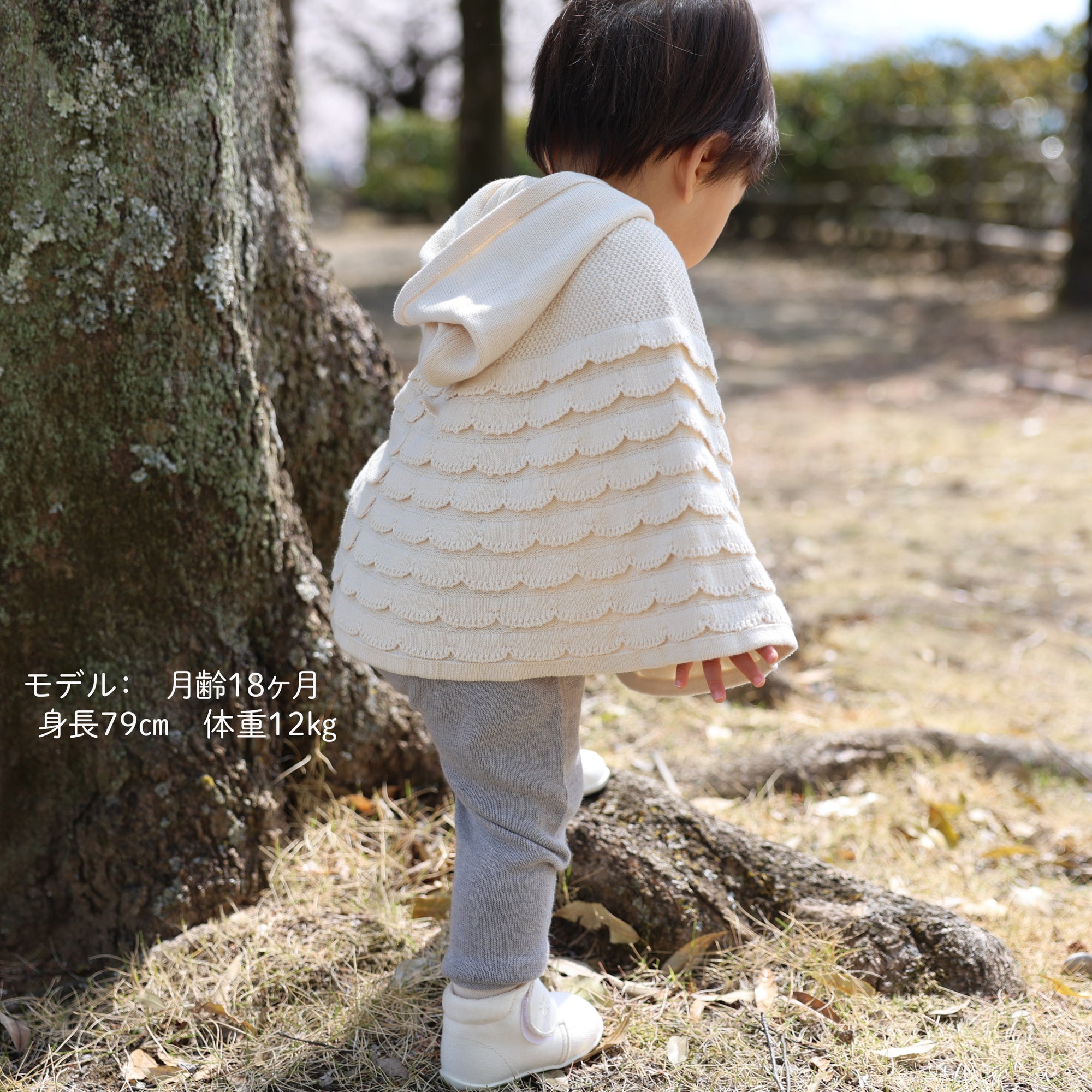 シェルマント(生成)