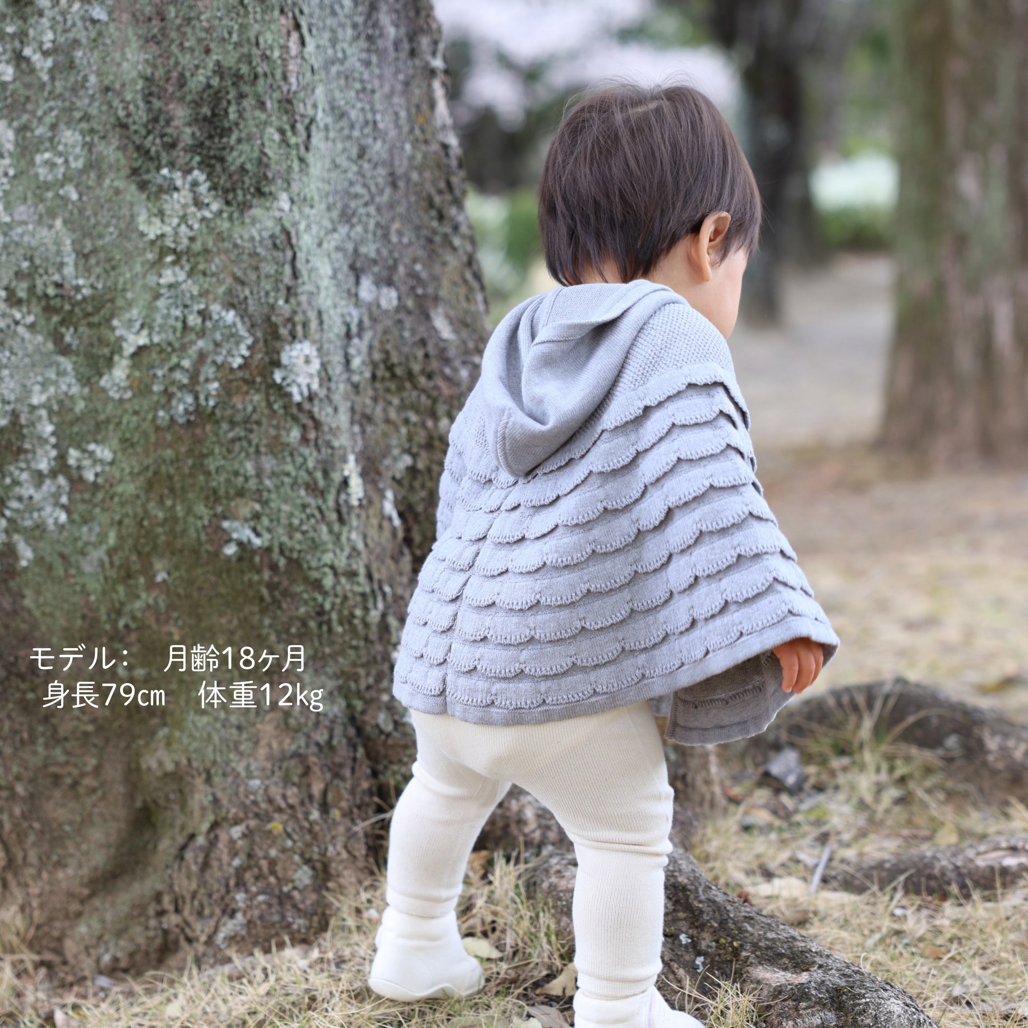 シェルマント(紺青)