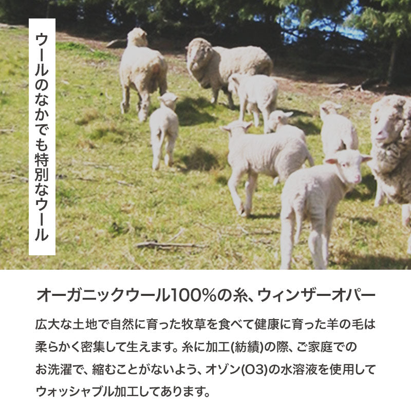 ウィンザーオパール 吊り紐付きパンツ