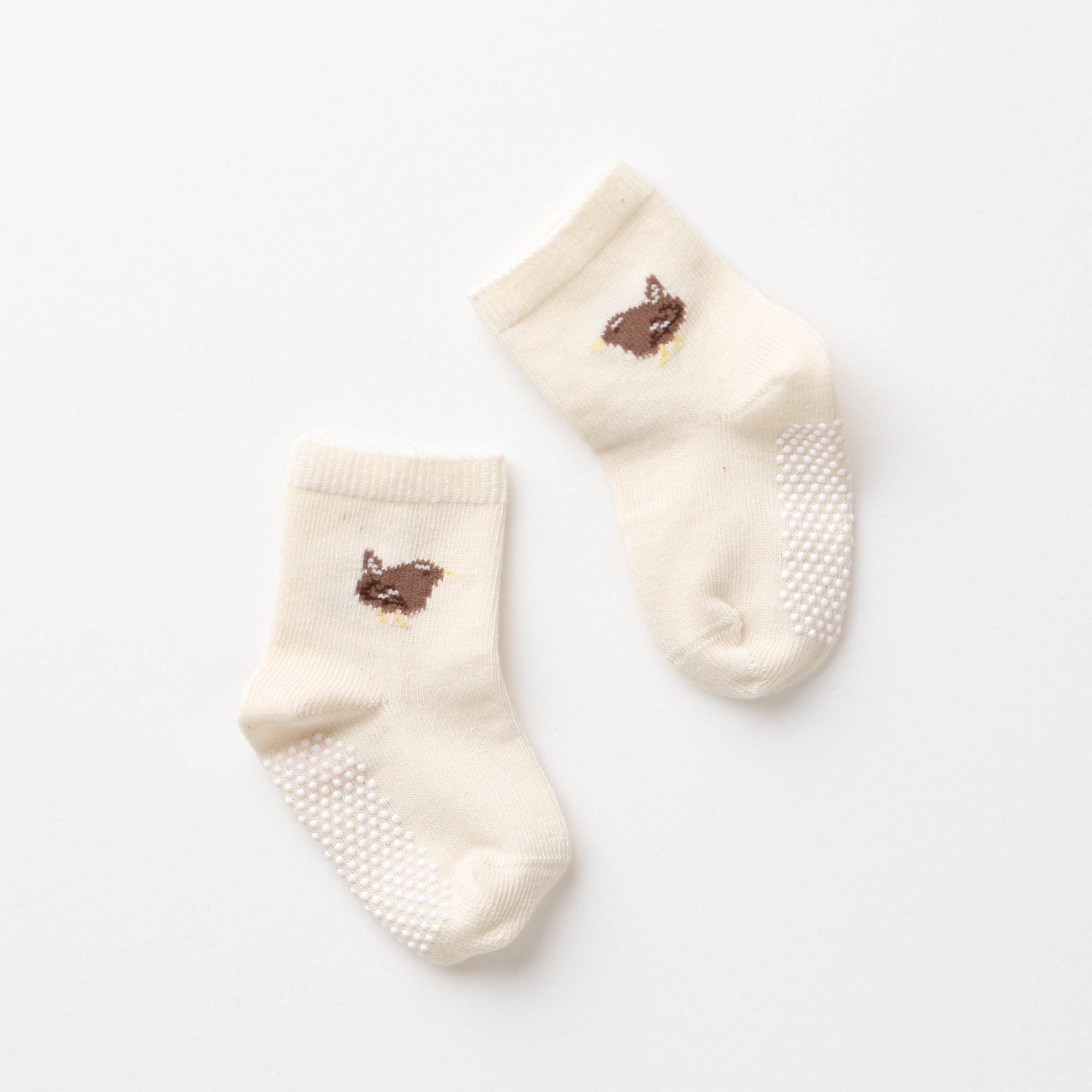 くつした (ミソサザイ)