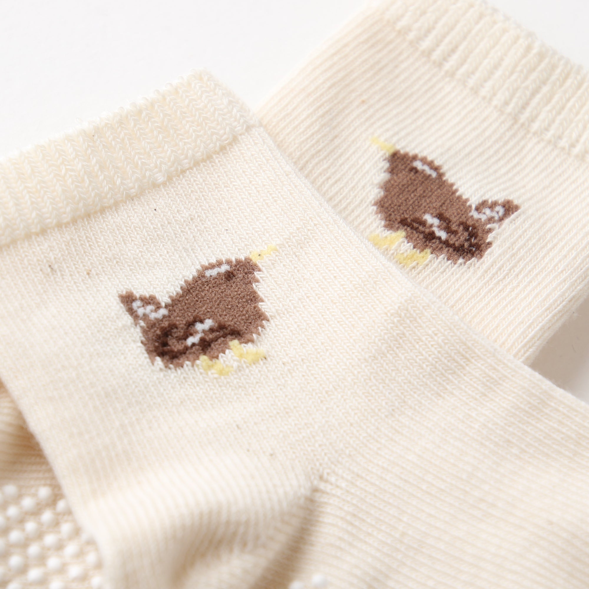 くつした (ミソサザイ)