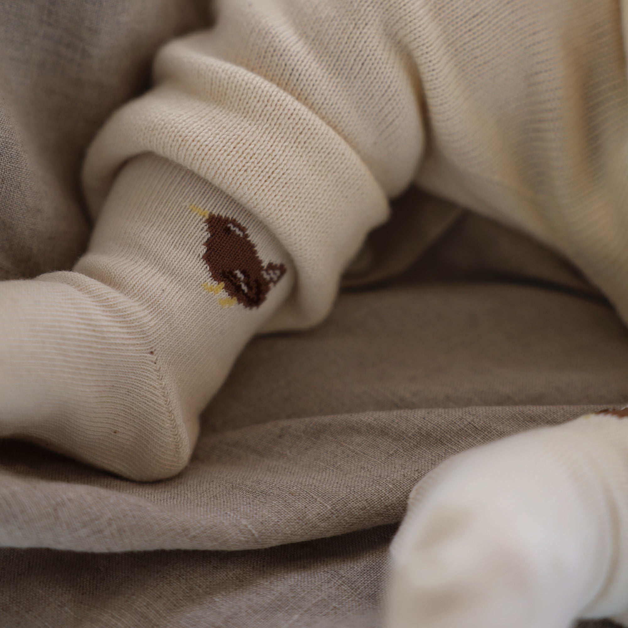 くつした (ミソサザイ)