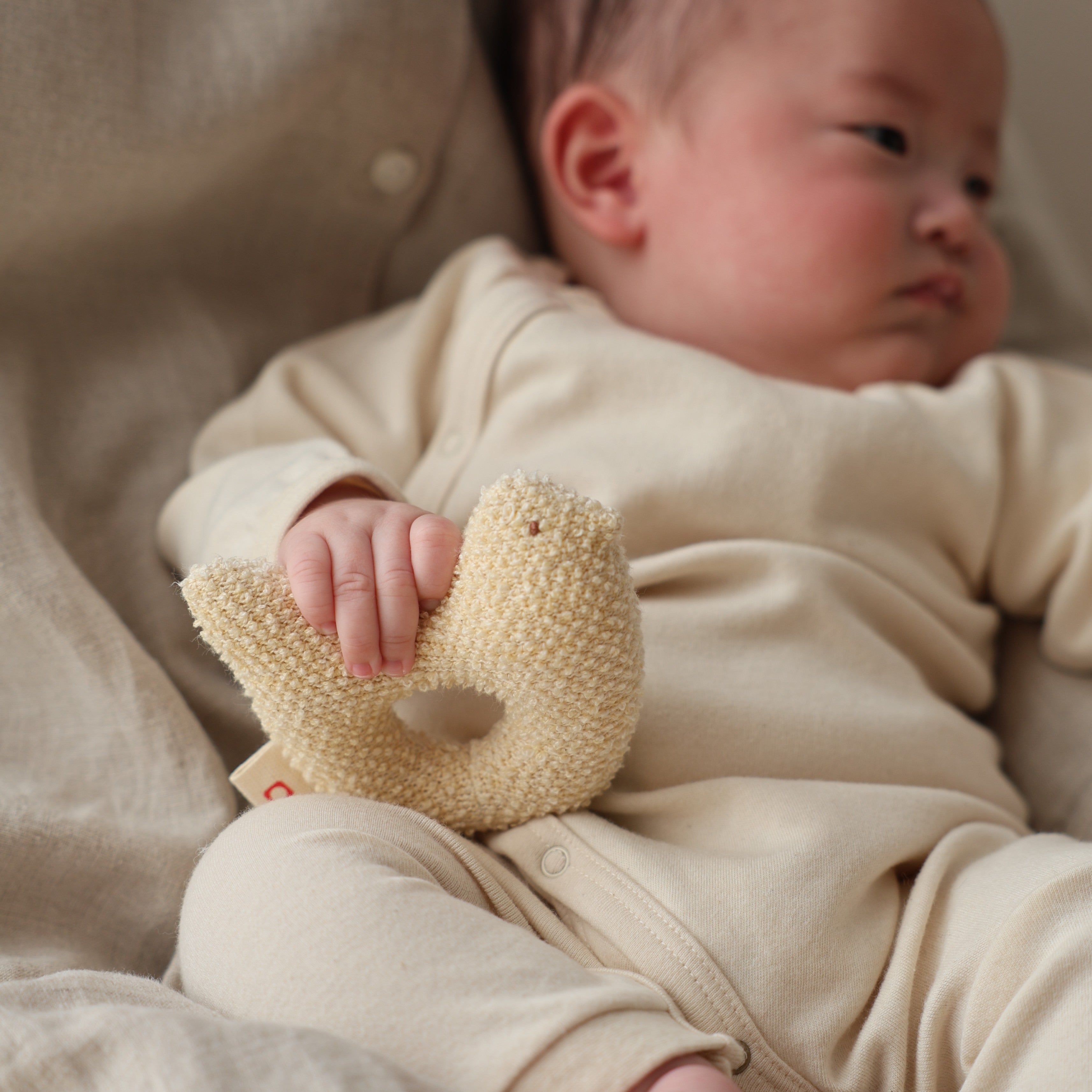 がらがら (とり)