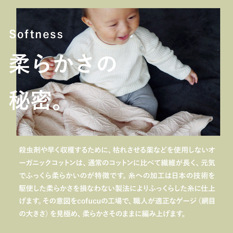 オーガニックコットン腹巻きにもなる縫い目のないパンツ