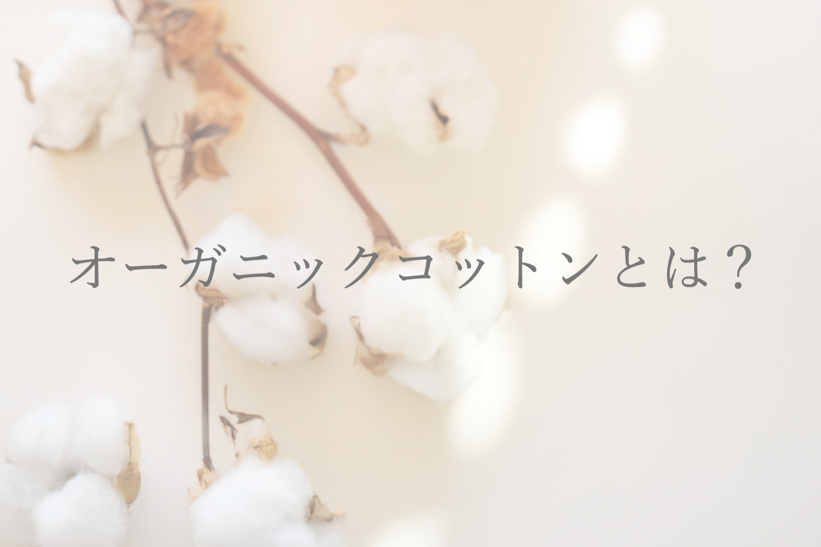 オーガニックコットンとは？