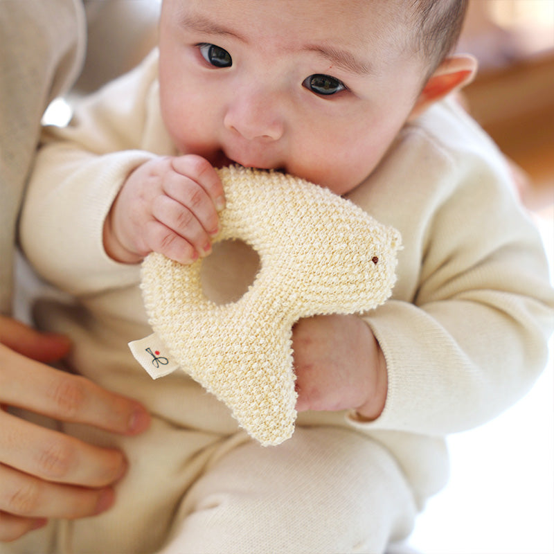 がらがら （とり）